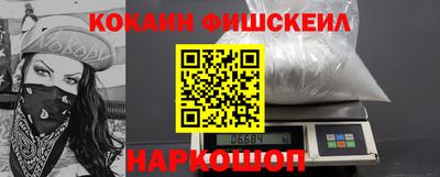 тгк Бийск