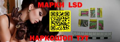 тгк Бийск