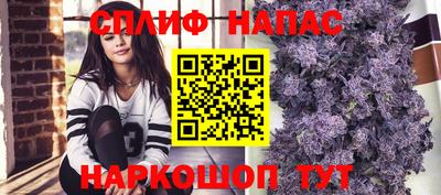 тгк Бийск