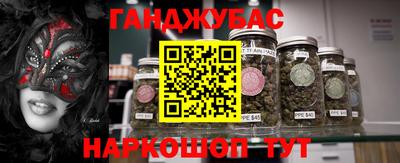 тгк Бийск