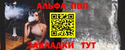 тгк Бийск