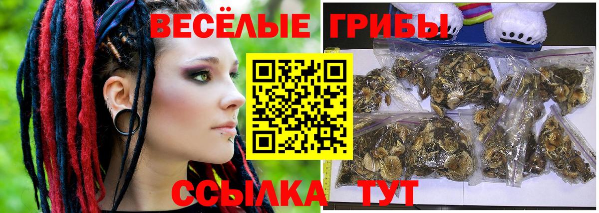 Псилоцибиновые грибы мухоморы  продажа наркотиков  Камышин  Вход с VPN 